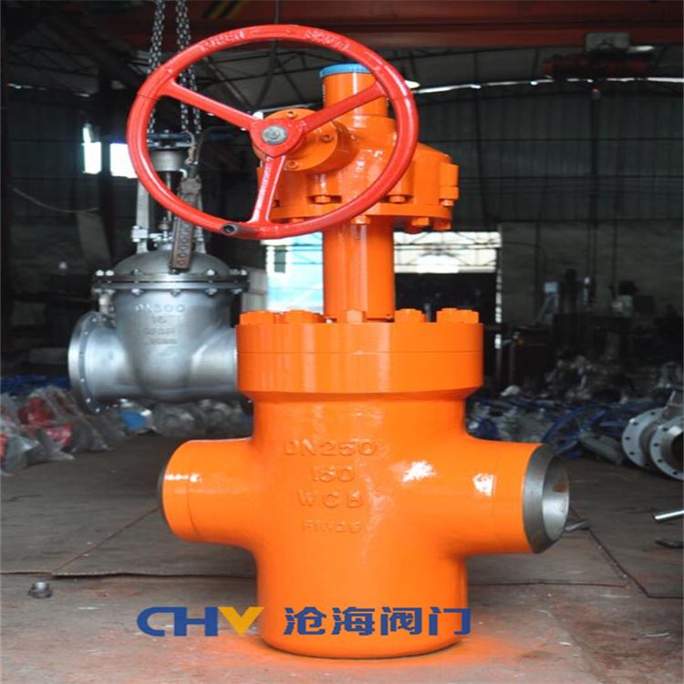 GZF583Y-320大口徑齒輪傳動卡箍平板閘閥